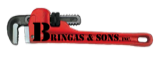 Bringas And Sons Inc logo