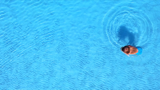 Pooltech Of Miami Inc logo
